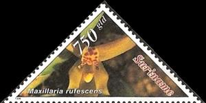 Stamp, Maxillaria Refescens, Suriname,  , Flowers, Orchids, Plants (Flora), Triangle Stamps