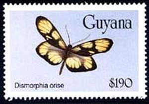 Stamp, False Methona (Patia orise), Guyana,  , Butterflies