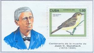 Souvenir Sheet, Cuban Vireo (Vireo gundlachii), Cuba,  