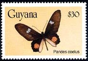 Stamp, Swallowtail (Parides coelus), Guyana,  , Butterflies