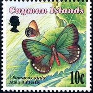 Stamp, Atala (Eumaeus atala), Cayman Islands,  , Insects, Butterflies
