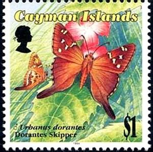 Stamp, Dorantes Longtail (Urbanus dorantes), Cayman Islands,  , Insects, Butterflies