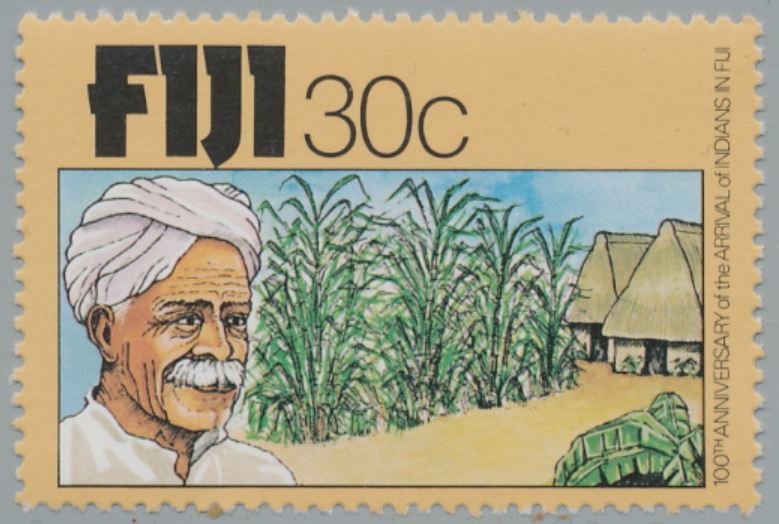 Sugar Cane