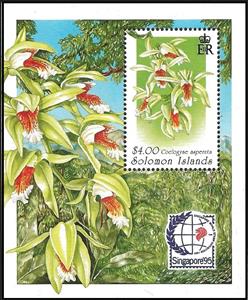 Mini Sheet, Coelogyne asperata, Solomon Islands,  , Orchids