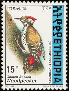 Stamp, Abyssinian Woodpecker - Dendropicos abyssinicus, Ethiopia,  , Birds