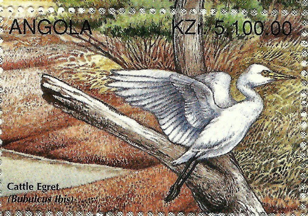 Cattle Egret (Bubulcus ibis)