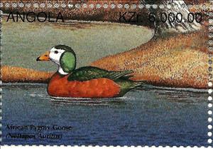 Stamp, African Pygmy Goose (Nettapus auritus), Angola,  , Birds, Ducks, Animals (Fauna)