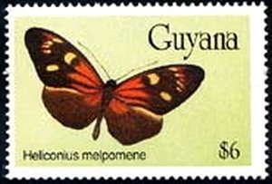 Stamp, Postman Butterfly (Heliconius melpomene), Guyana,  , Butterflies