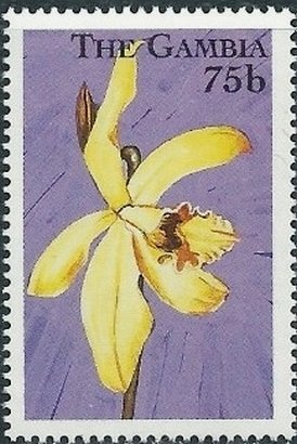 Vanilla humblotii