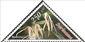 Stamp, Maxillaria Splendens, Suriname,  , Flowers, Orchids, Plants (Flora), Triangle Stamps