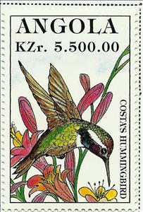 Stamp, Costa's Hummingbird (Calypte costae), Angola,  , Birds, Animals (Fauna), Hummingbirds