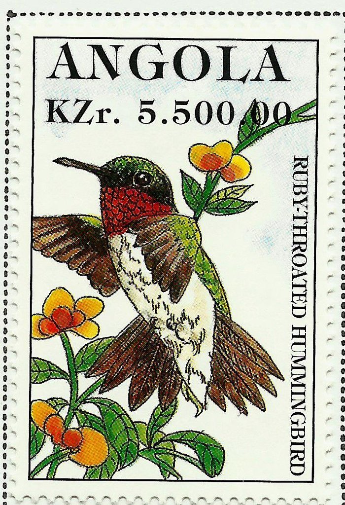 Ruby-throated Hummingbird (Archilochus colubris)