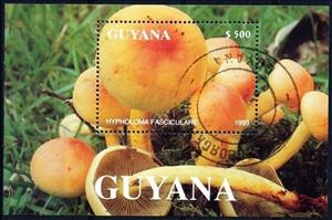 Souvenir Sheet, Hypholoma fasciculare, Guyana,  