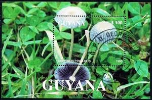 Souvenir Sheet, Coprinus plicatilis, Guyana,  