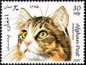 Stamp, Norwegian Forest Cat (Felis silvestris catus), Afghanistan,  , Mammals, Cats, Animals (Fauna)