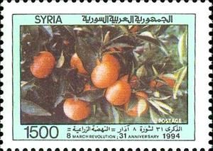 Stamp, Mandarin oranges, Syria,  , Fruits, Plants (Flora)