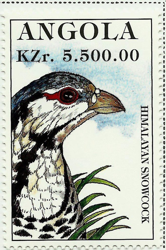 Himalayan Snowcock (Tetraogallus himalayensis)