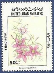 Stamp, Centaureum pulchellum, United Arab Emirates,  
