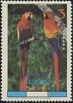 Macaws (Ara sp.)