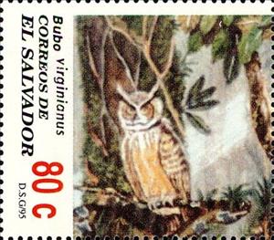 Stamp, Bubo virginianus, El Salvador,  