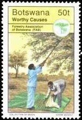 Collection of seeds, Forestry Association