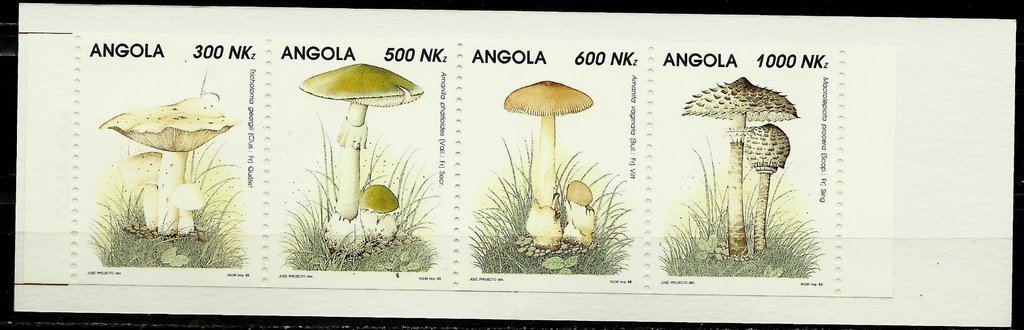 Mushrooms