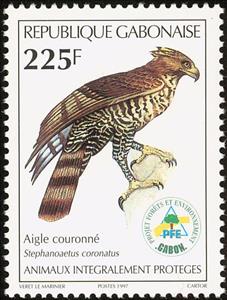 Stamp, Stephanoaetus coronatus, Gabon,  