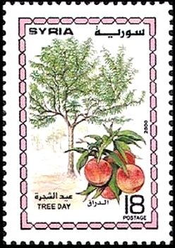 Arbor Day