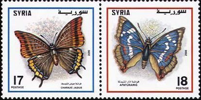 Two-tailed Pasha (Charaxes jasius), Purple Emperor (Apatura 
