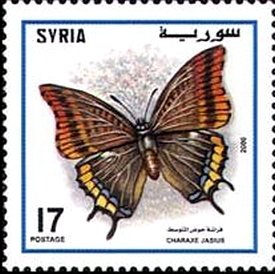 Stamp, Two-tailed Pasha (Charaxes jasius), Syria,  , Insects, Butterflies