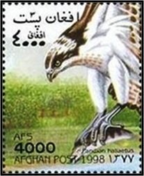 Stamp, Osprey (Pandion haliaetus), Afghanistan,  , Birds, Birds of Prey, Animals (Fauna)