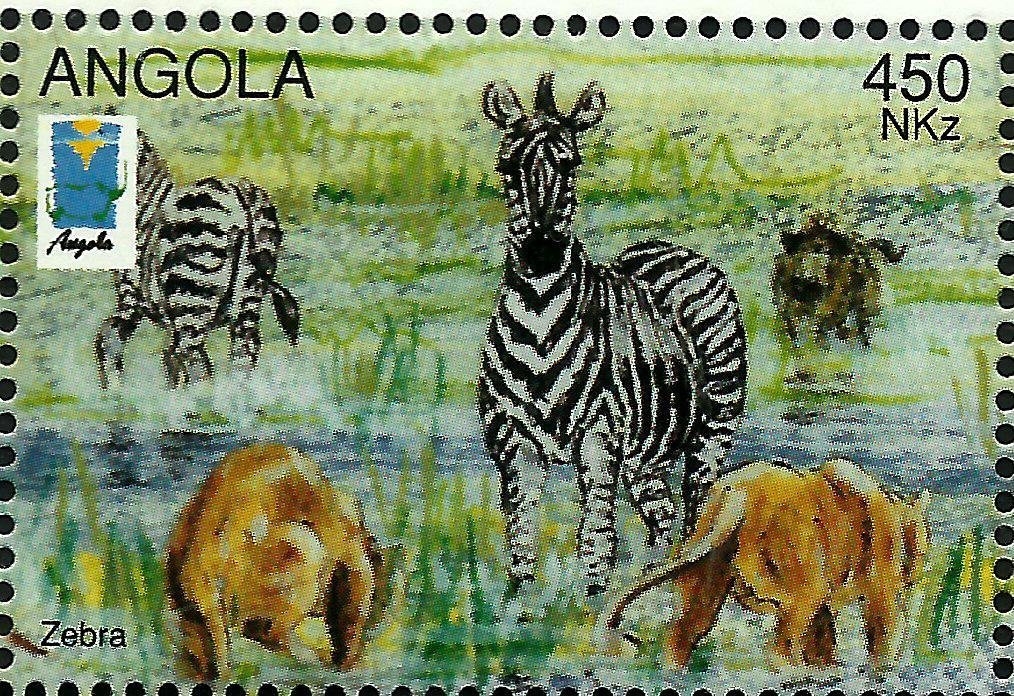 Zebra (Equus zebra sp.) and Two Lions (Panthera leo)