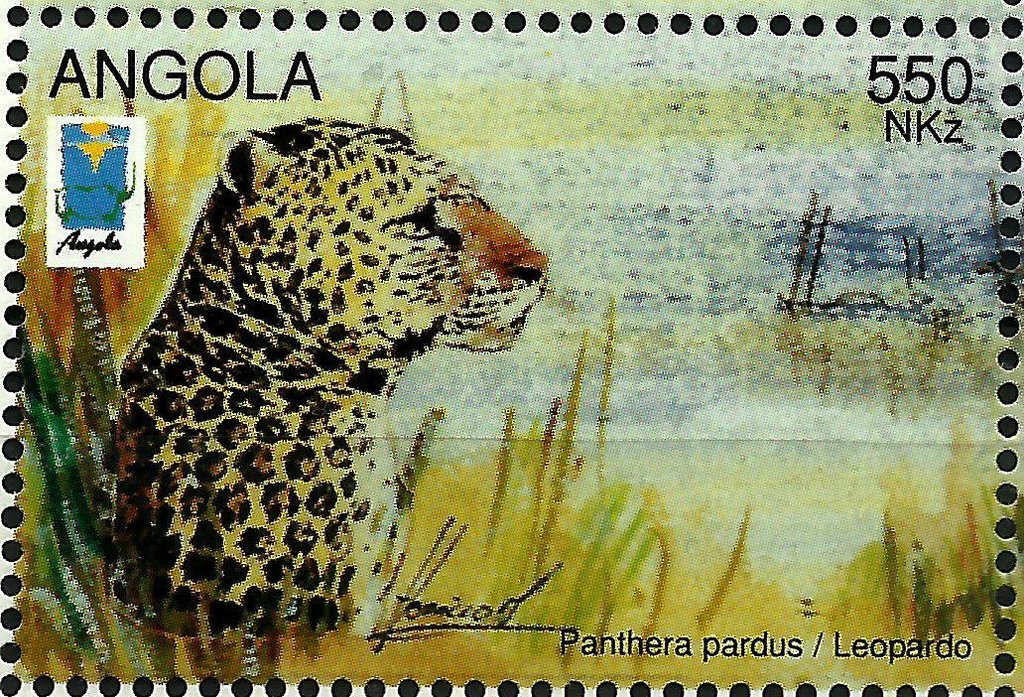 Leopard (Panthera pardus)