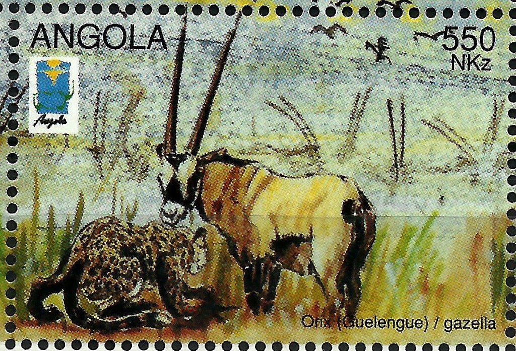 Leopard (Panthera pardus) and Gemsbok (Oryx gazella)