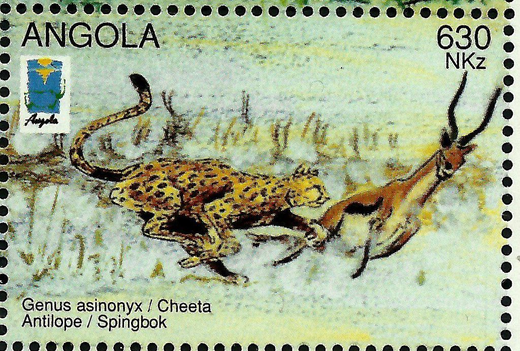 Cheetah (Axinoyx jubatus), Springbok (Antidorcas marsupialis