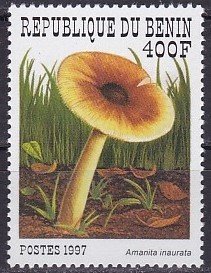 Amanita inaurata