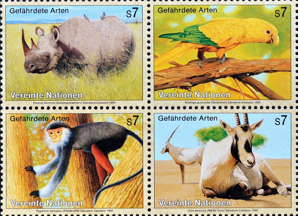 Endangered Species (III)