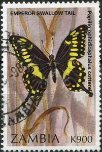 Stamp, Empperor Swallowtail (Papilio ophidicephalusssp. cottrelli), Zambia,  , Insects, Butterflies, Animals (Fauna)