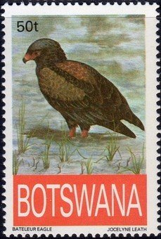 Stamp, Bateleur Eagle (Terathopius ecaudatus), Botswana,  , Birds, Birds of Prey, Animals (Fauna)
