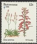 Aloe zebrina