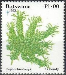 Stamp, Euphorbia Davyi, Botswana,  , Christmas, Plants (Flora)
