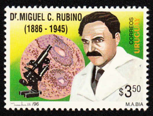 Miguel C. Rubino