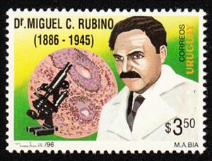 Stamp, Miguel C. Rubino, Uruguay,  