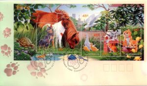 FDC - Pets