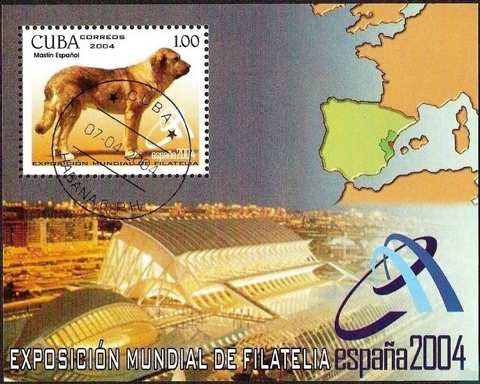 Spanish Mastiff (Canis lupus familiaris)
