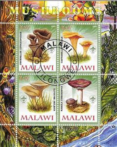Souvenir Sheet, Mushrooms - I., Cinderellas,  , Mushrooms, Plants (Flora)