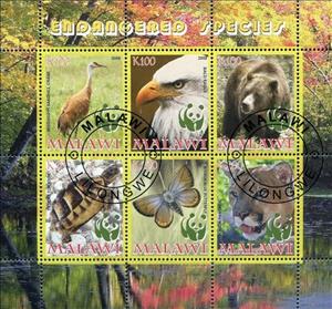 Souvenir Sheet, WWF - Endangered Species, Cinderellas,  , WWF, Animals (Fauna)