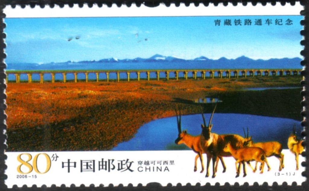 Damxun Bridge,Kekexili, Tibetan Antelope (Panthopos hodgeson