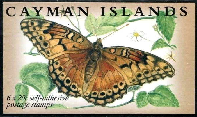 Phaon Crescent (Phyciodes phaon)