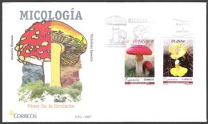 Mushroom